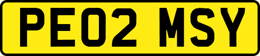 PE02MSY