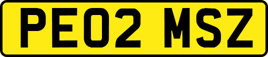 PE02MSZ