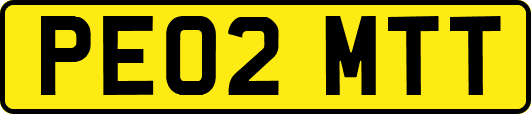 PE02MTT