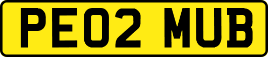 PE02MUB