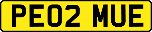 PE02MUE