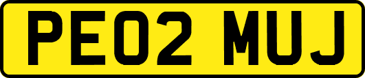 PE02MUJ