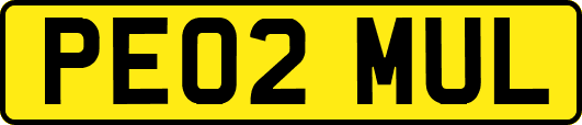 PE02MUL