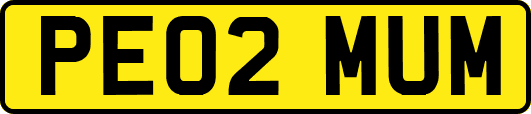 PE02MUM