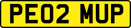 PE02MUP