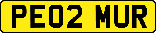 PE02MUR