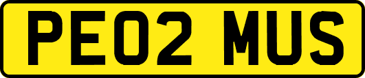 PE02MUS