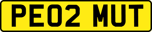 PE02MUT