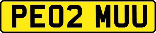 PE02MUU