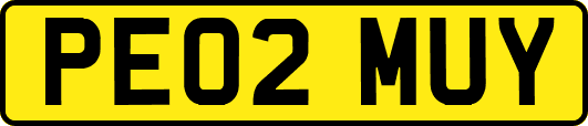 PE02MUY