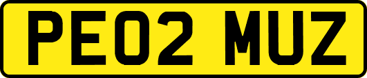 PE02MUZ