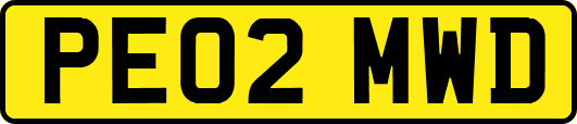 PE02MWD