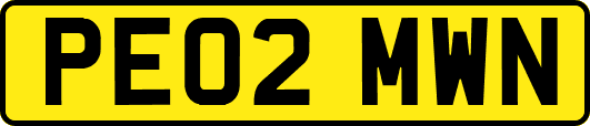 PE02MWN