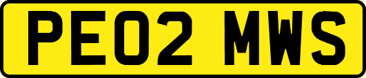 PE02MWS