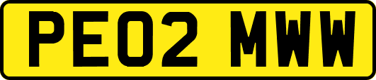 PE02MWW