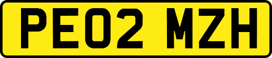 PE02MZH