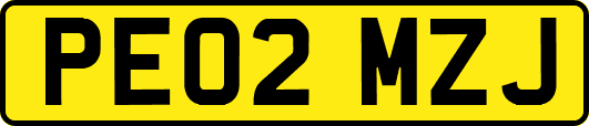 PE02MZJ