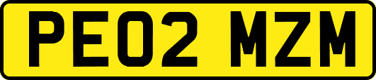 PE02MZM