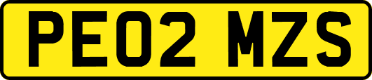 PE02MZS