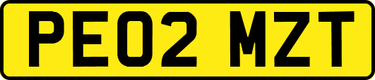 PE02MZT