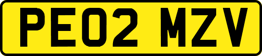 PE02MZV