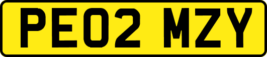 PE02MZY