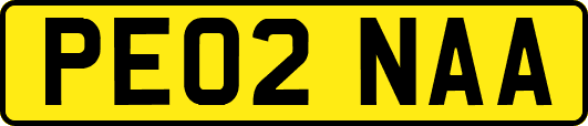 PE02NAA