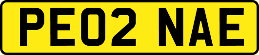 PE02NAE
