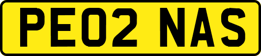 PE02NAS