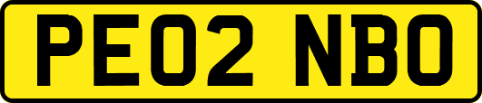 PE02NBO