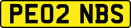 PE02NBS