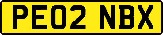 PE02NBX