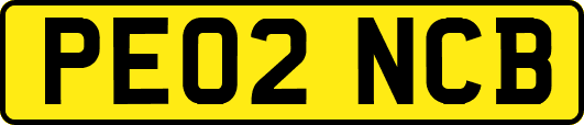 PE02NCB