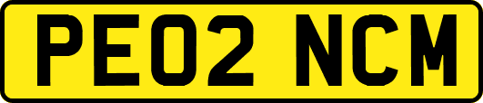 PE02NCM