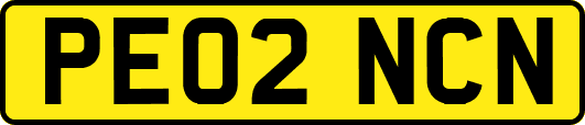PE02NCN
