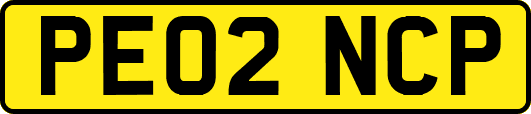 PE02NCP