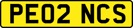 PE02NCS