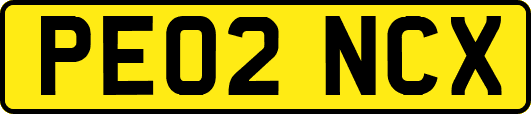 PE02NCX