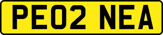 PE02NEA