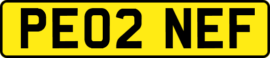 PE02NEF