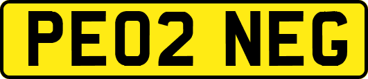 PE02NEG