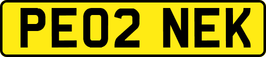 PE02NEK