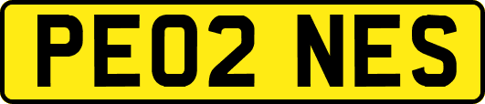 PE02NES