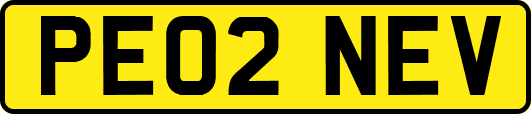 PE02NEV