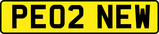 PE02NEW