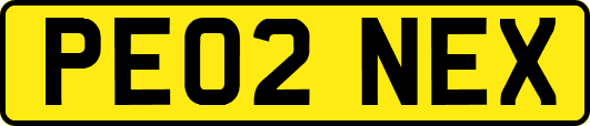 PE02NEX