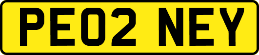PE02NEY