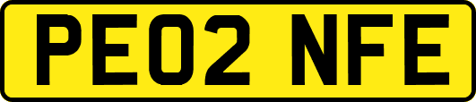 PE02NFE