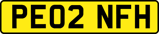 PE02NFH