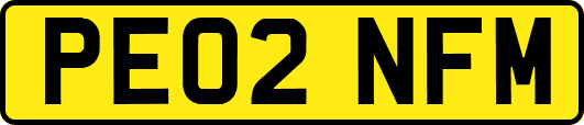 PE02NFM